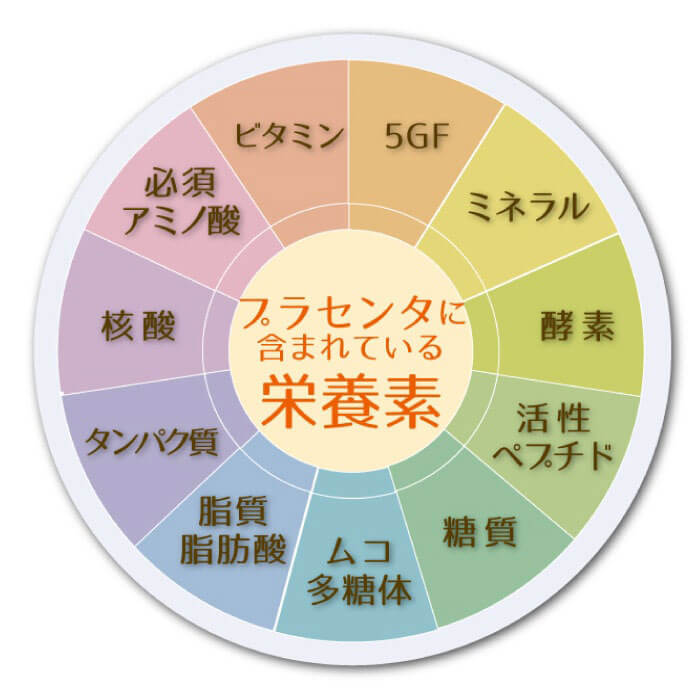 プラセンタに含まれている栄養素